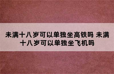 未满十八岁可以单独坐高铁吗 未满十八岁可以单独坐飞机吗